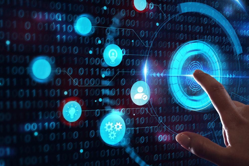 Web Design in Florida: Accessibility, Sustainability, and Engaging Digital Experiences