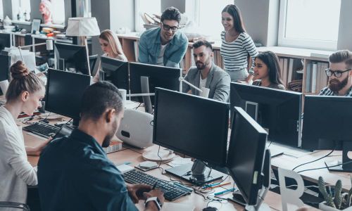 Web Designers