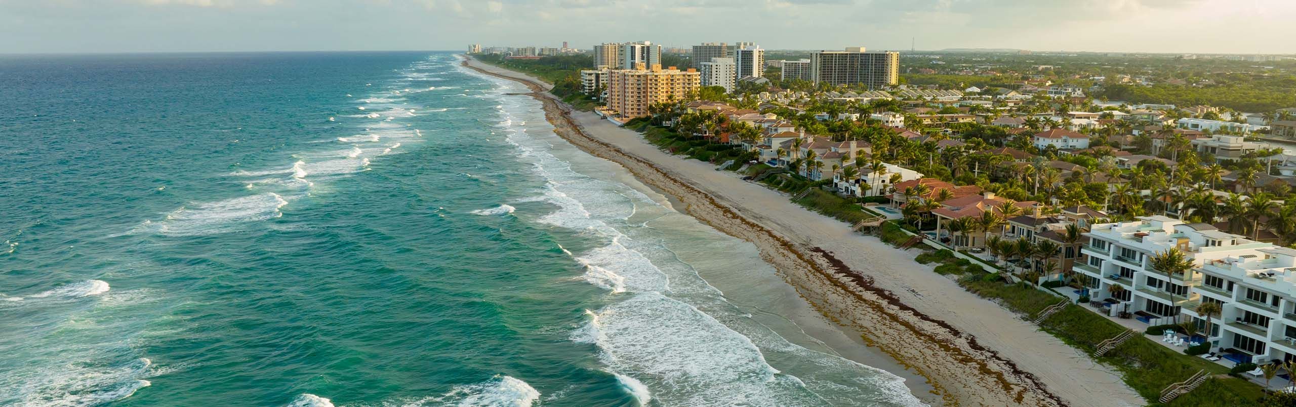 Web Designer in Highland Beach, FL